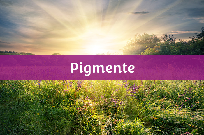 LEINOS-Pigmente-text.png