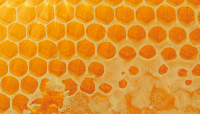 LEINOS-Rohstoff-Bienenwachs.png